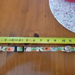 Halloween Themed Dog Collar